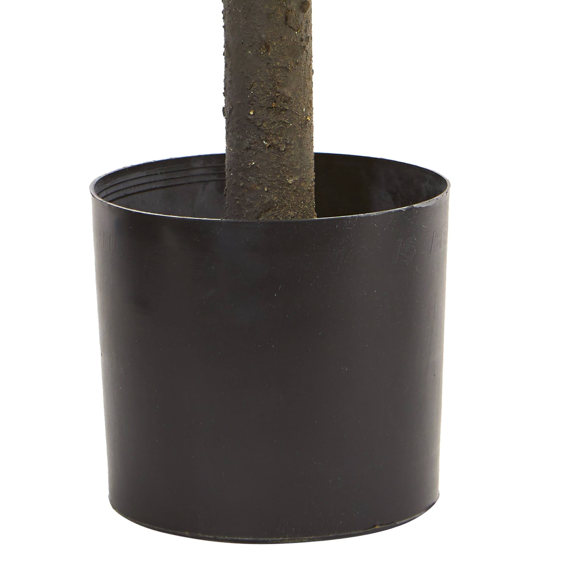 21" Potted Boxwood Ball Topiary Tree